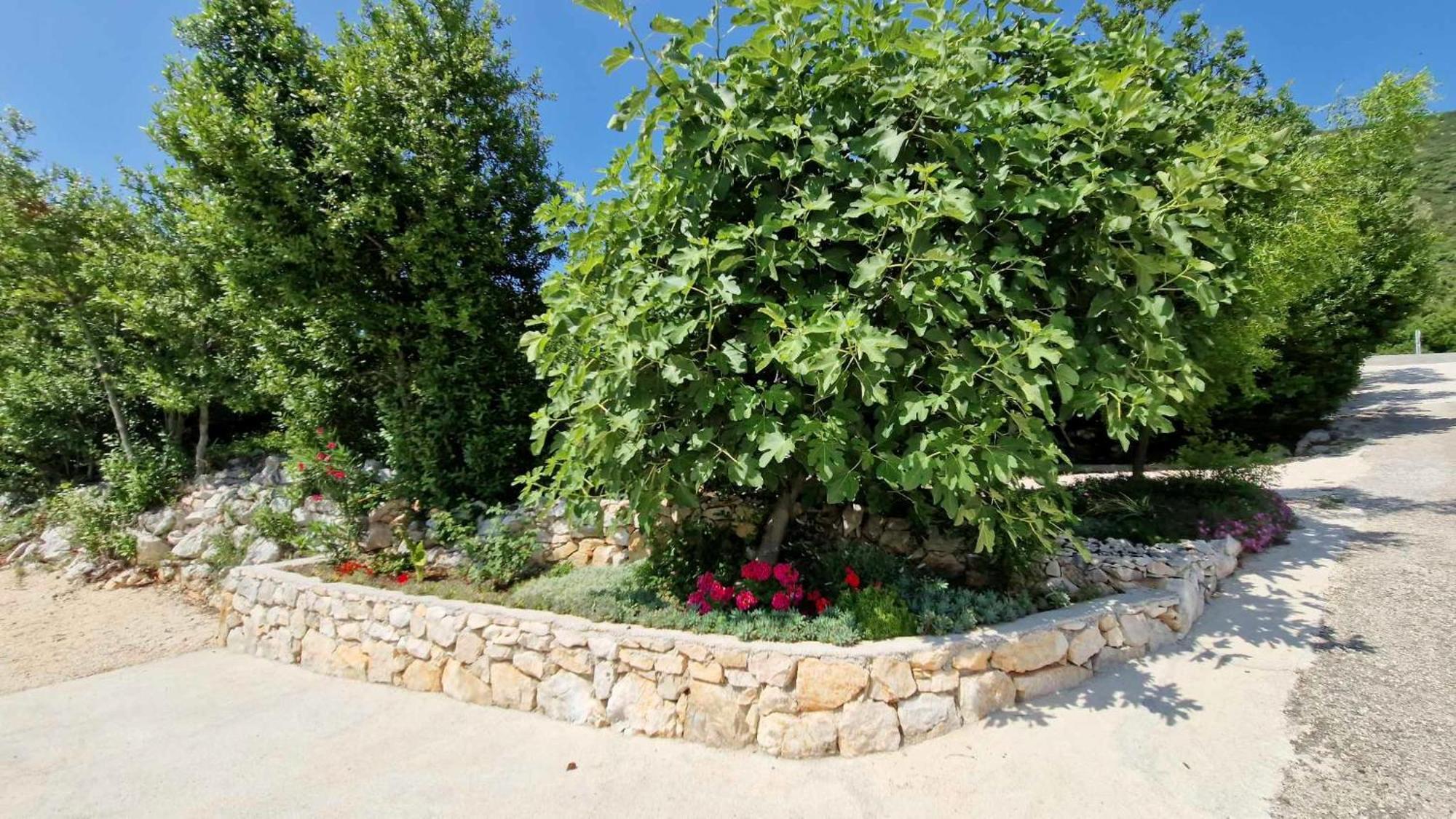 Villa Paradise Garden Ston Exterior photo